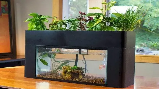 how to build small self sustaining aquarium