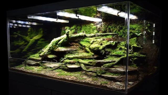 How to Build a Stream Aquarium: Step-by-Step Guide for Beginners