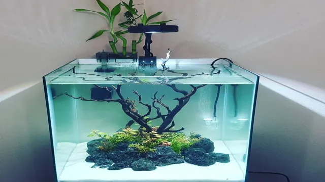 how to build tiny aquarium