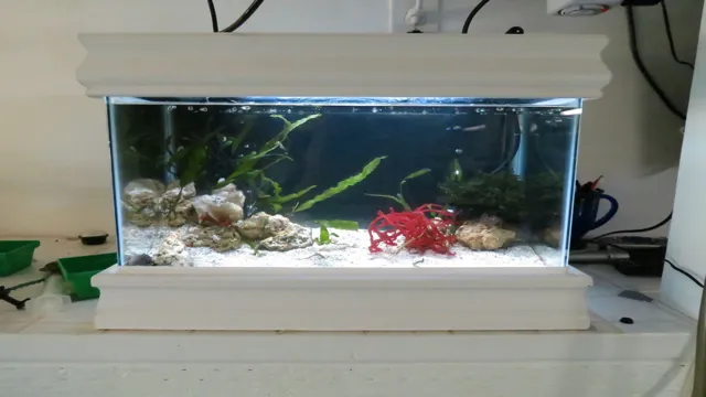 how to build tiny aquarium