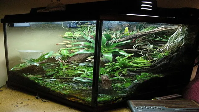 How to Build Up a Slope Aquarium: Tips and Tricks for a Beautiful Aquascape