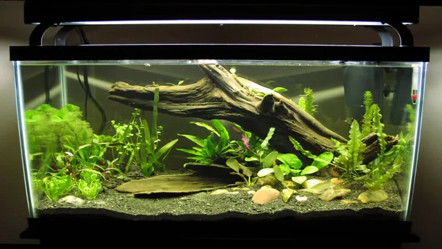 how to build up aquarium substrate