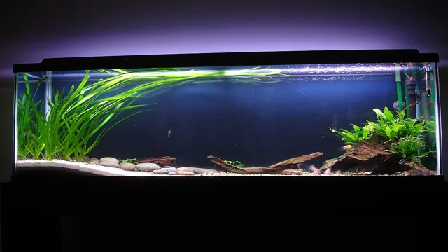 how to build up aquarium substrate