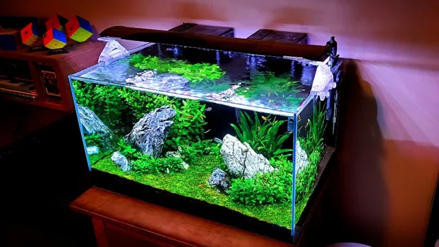 How to Build up Substrate for Aquarium: A Step-by-Step Guide to Creating a Healthy Environment.