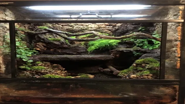 how to build waterfall for aquarium with snake