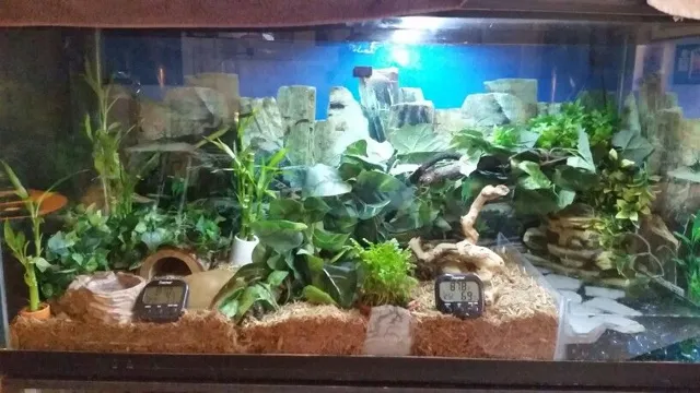 How to Build a Waterfall for Aquarium with Snake: Step-by-Step Guide