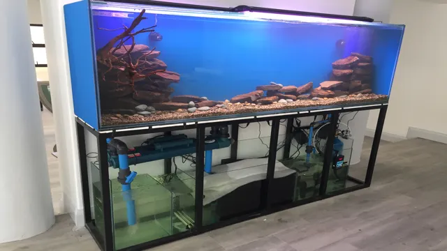 how to build your own custom aquarium