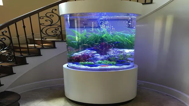 how to build yourself a big aquarium