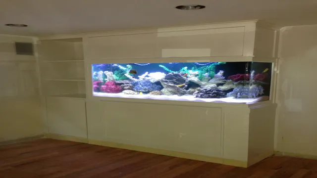 How to Build the Aquarium Tank: A Step-by-Step Guide for Beginners to Create a Stunning Fish Habitat