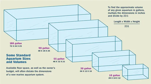 How to Calculate Aquarium Gallon: A Step-by-Step Guide for Accurate Measurement