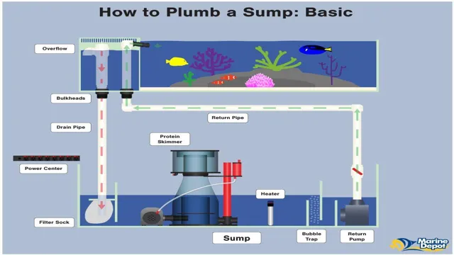 How to Calculate Aquarium Sump Size: A Step-by-Step Guide for Optimum Filtration