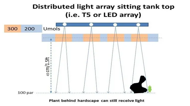 How to Calculate Light for Planted Aquarium: A Comprehensive Guide