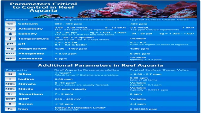 How to Calculate PAR in Reef Aquariums: A Step-by-Step Guide