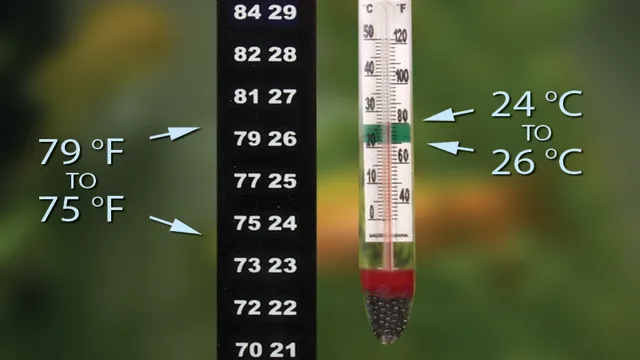 How to Calculate Temperature Change in a Small Aquarium: Top Tips and Techniques