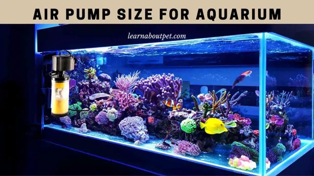 How to Calculate the Size Air Pump for Aquarium: Tips and Tricks for Optimal Functionality