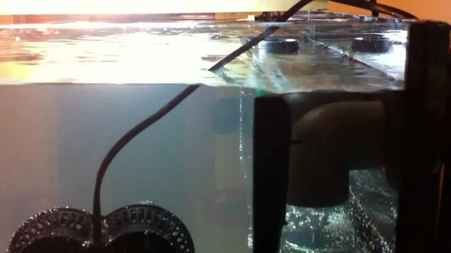 How to Calibrate Two Bean Animal Aquarium Overflow for Optimal Performance