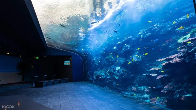 how to cancel georgia aquarium reservation