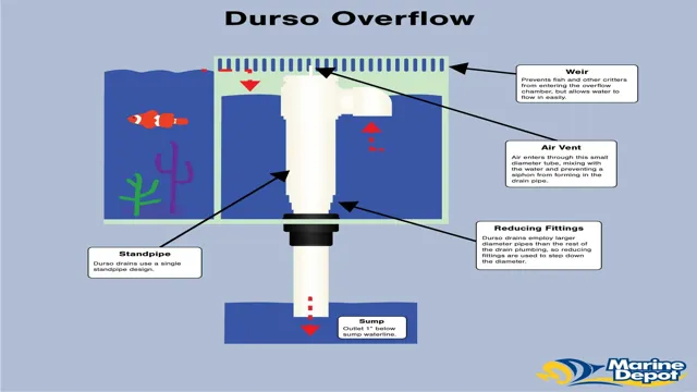 How to Cap Overflow Bulkhead Holes Aquarium: Your Ultimate Guide