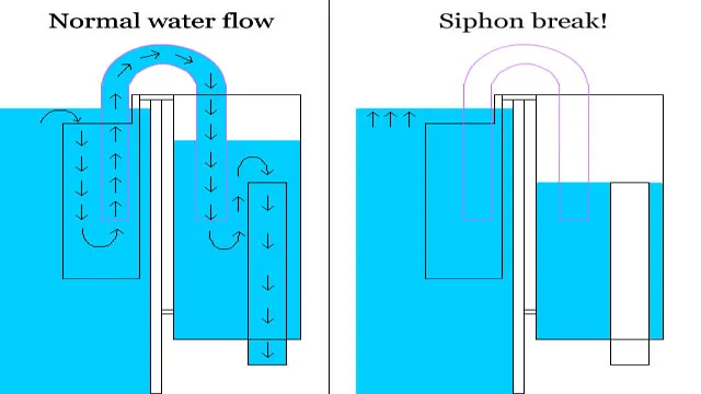 How to Cap Overflow Siphon Holes in Aquarium: Step-by-Step Guide