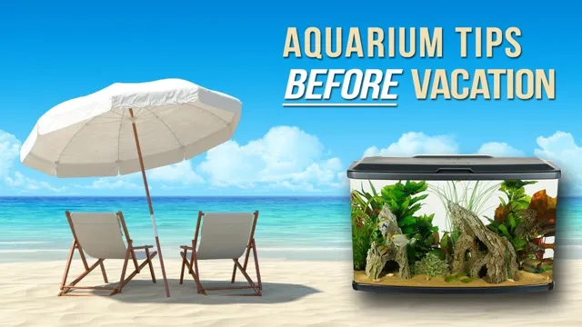 how to care for aquarium before vacation