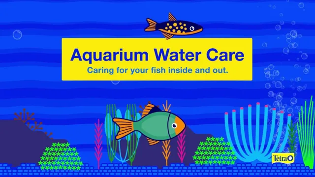 how to care for aquarium fish