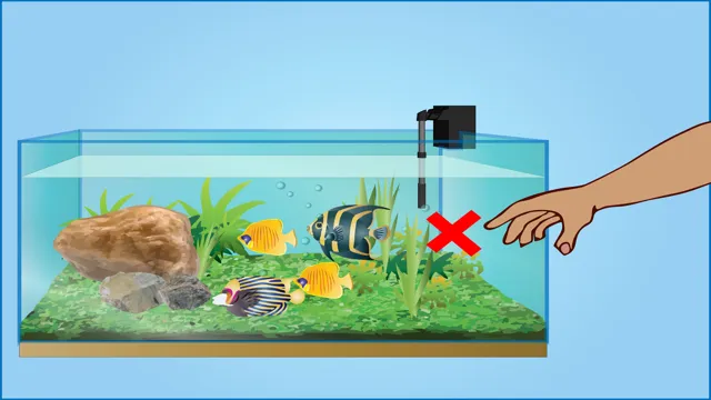 how to care for aquarium fish tanks
