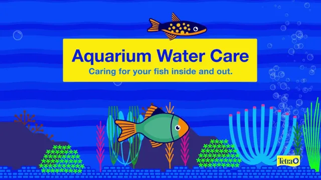 How to Care for Aquarium: The Ultimate Guide for Beginners to Keep Your Fish Happy and Healthy