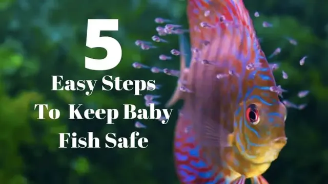 how to care for baby fish in aquarium