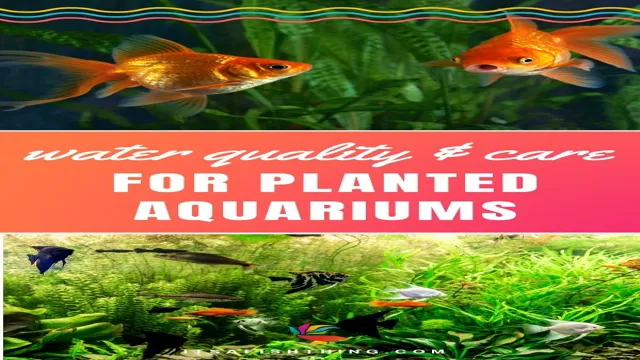 how to care for freshwater aquarium