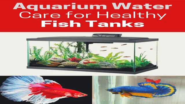 how to care for freshwater aquarium fish