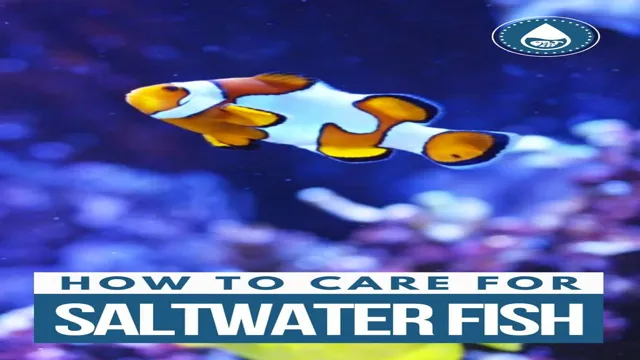 how to care for saltwater aquarium fish
