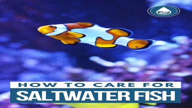 How to Care for Saltwater Aquarium Fish: Essential Tips for Keeping Your Fish Happy and Healthy