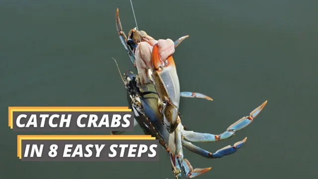 how to catch a crab in my aquarium