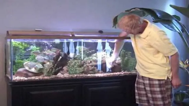 how to catch aquarium fish