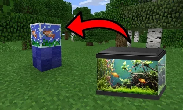 How to Catch Fish for Aquarium Minecraft: Tips,…