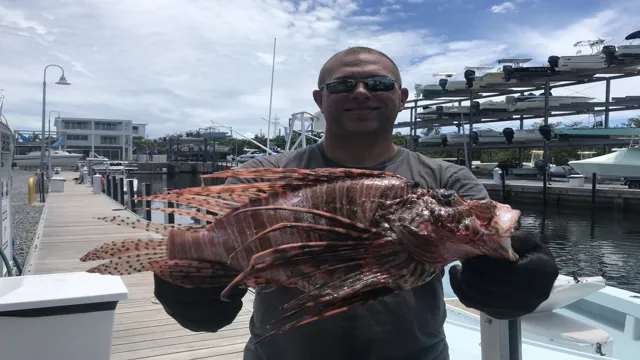 How to Catch Lionfish in Aquarium: A Beginner’s Guide for Safe and Efficient Removal