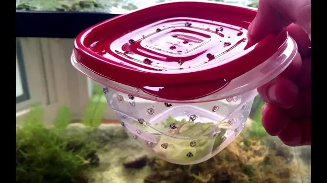 how to catch snail in aquarium to move