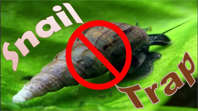 How to Catch Snail in Aquarium to Move: Proven Techniques for Easy Removal