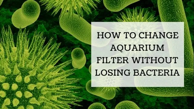 how to change aquarium filter cartridge without losing bacteria