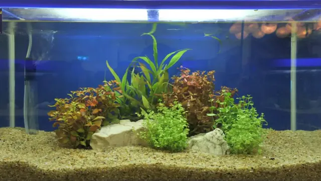 how to change aquarium gravel with fish in tank