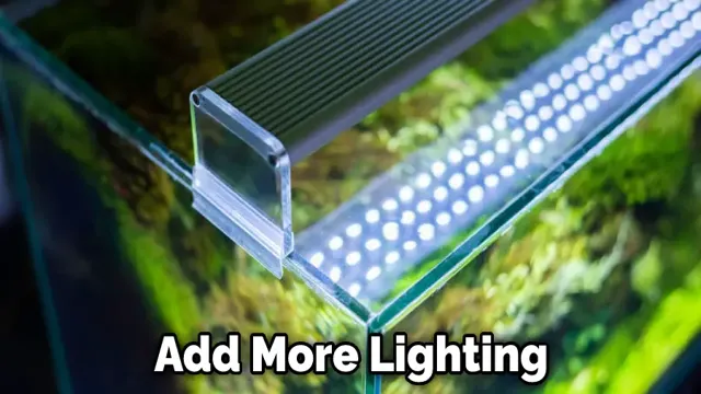 How to Change Aquarium Hood Light: DIY Steps for a Seamless Replacement