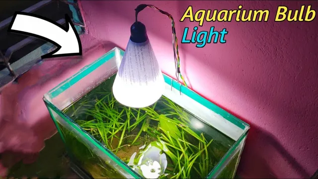 How to Change Aquarium Light Bulb in 5 Easy Steps – Ultimate Guide