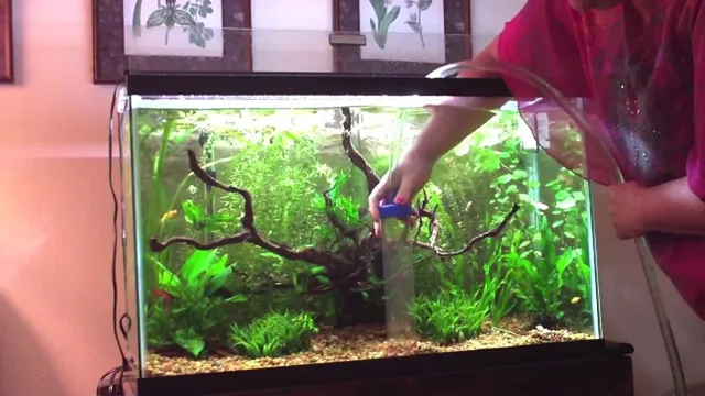 How to Change Aquarium One to Another: Step-by-Step Guide for Seamless Transition