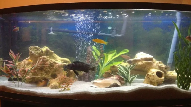 how to change aquarium substrate with fish in tank