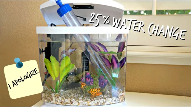 how to change aquarium water for betta