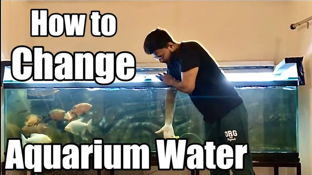 how to change aquarium water in winter