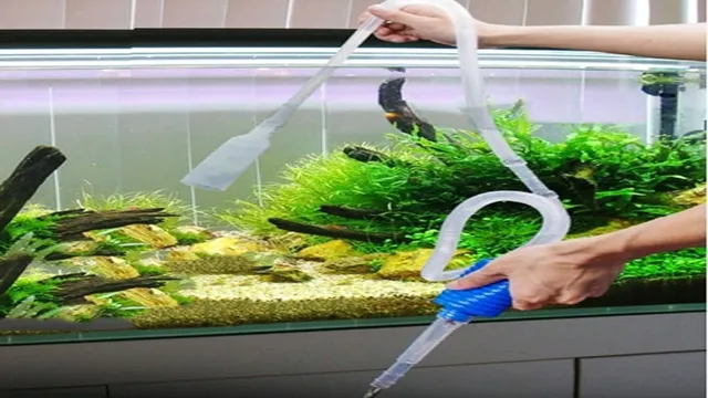 How to Change Aquarium Water in Winter: A Step-by-Step Guide