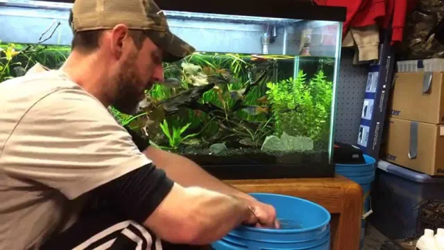 how to change aquarium water with live plants