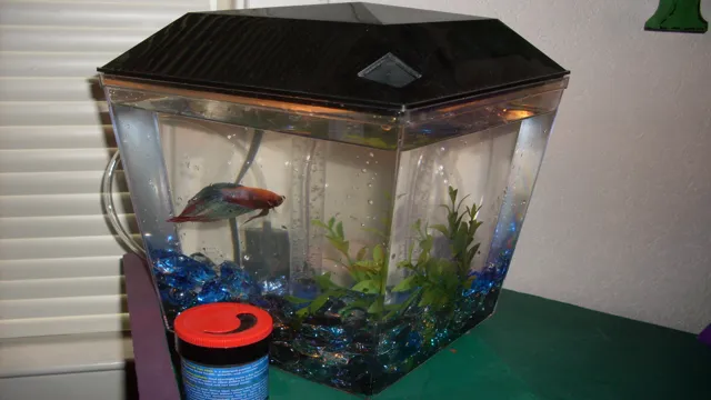 how to change aquariums betta