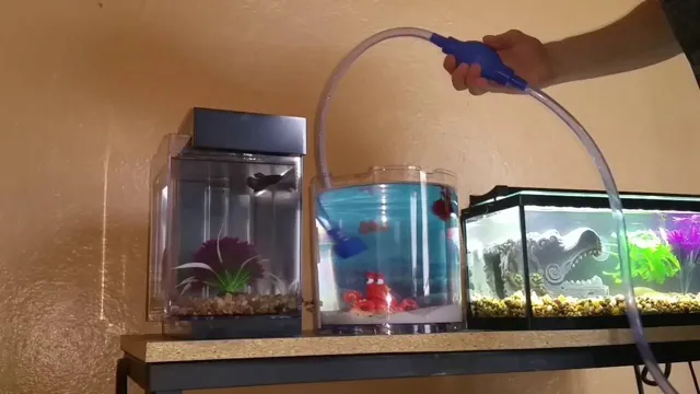 How to Change Betta Bowl to Aquarium: A Step-by-Step Guide for Optimal Space and Comfort